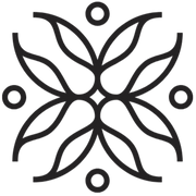 Luxury Wellness Store logo